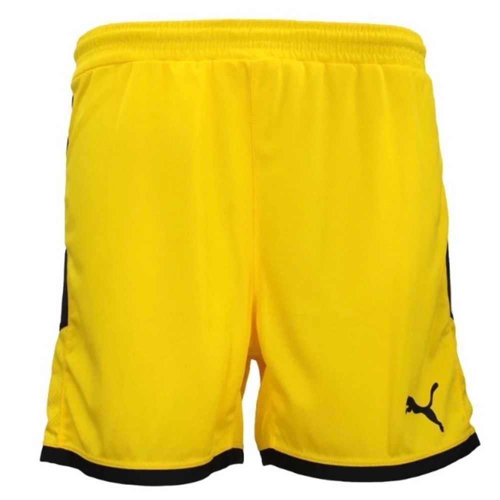 Puma Men’s Borrusia Shorts